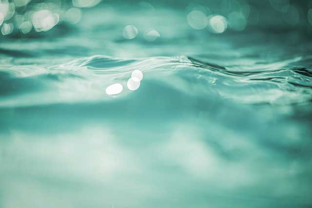 Transition Plan to a Decarbonized Economy