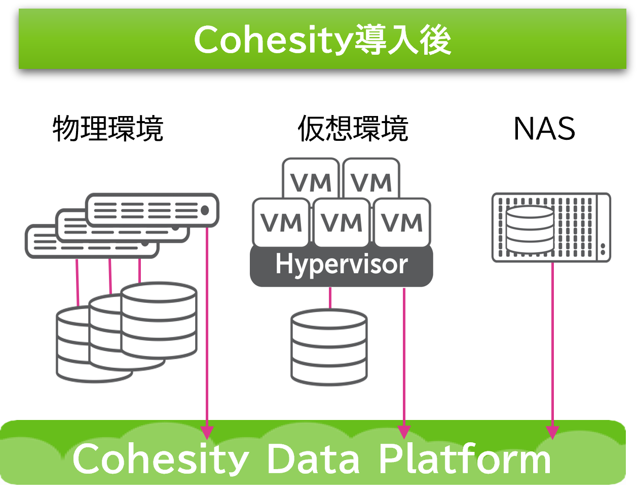 Cohesity導入後