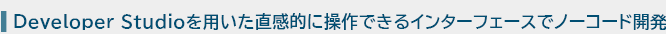 Developer Studioを用いた直感的に操作できるインターフェースでノーコード開発