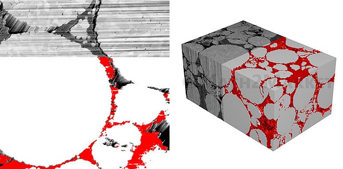 2D U-Netを利用したセグメンテーション