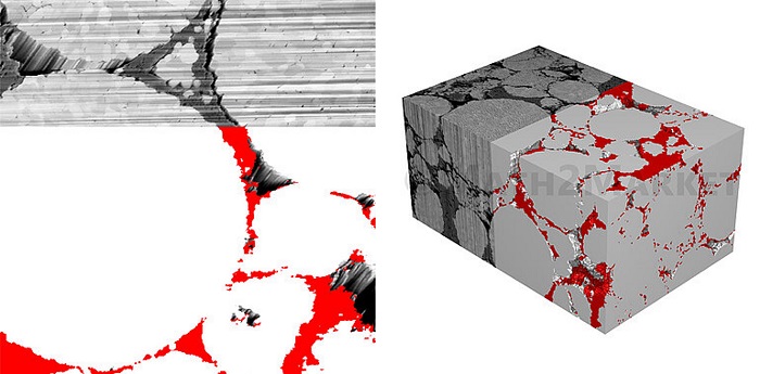 3D U-Netを利用したセグメンテーション