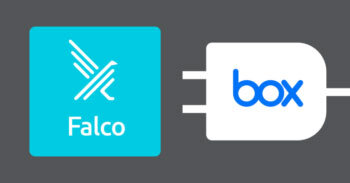 Box用にFalcoを拡張